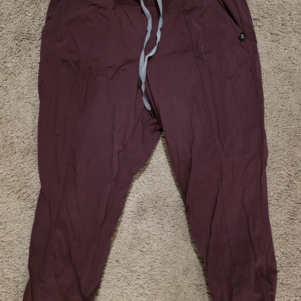 torrid Burgundy Drawstring Jogger Pants